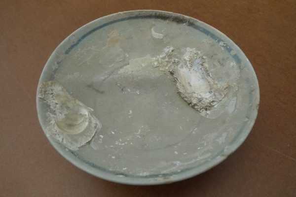 sunkenwreck( )mingdish/bowl/plateglazedunderwaterporcelain#