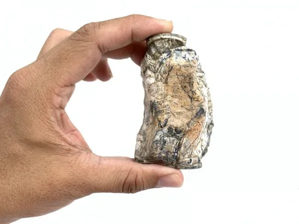 RARE Stegodon Mammoth Fossil Teeth Tooth remain Dinosaur