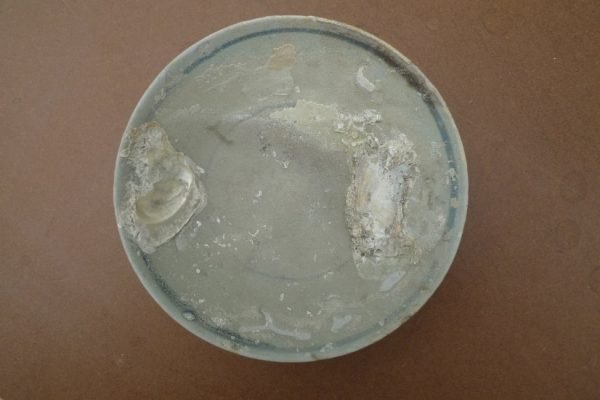 sunkenwreck( )mingdish/bowl/plateglazedunderwaterporcelain#
