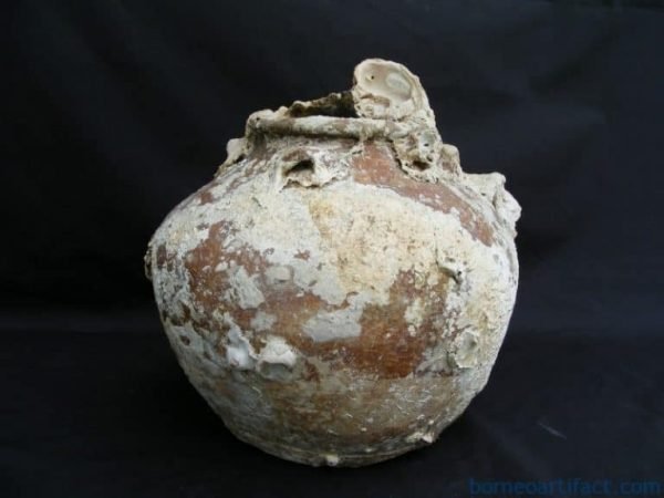 ANTIQUE AUTHENTIC Sung Dynasty JAR POT VASE Clam & CORAL Underwater Artifact