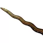 Traditional Asian Dagger 525mm Golden Dragon Keris Naga Nogo Emas Kris Sumatra Weapon Knife Blade Sword Kriss