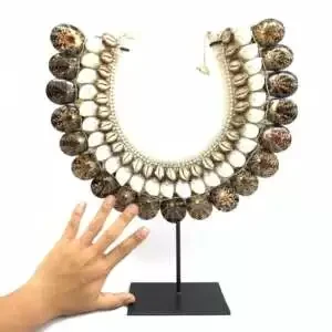 Shell Necklace (430mm On Stand) Irian Jaya Tribal Seashell Body Adornment Ornament Asian Jewelry