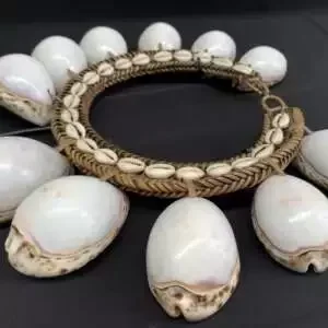 Seashell Necklace (310mm On Stand) Irian Jaya Tribal Body Adornment Ornament Jewelry Pendant
