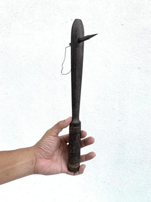 Apadravya ampallang palang traditional cultural penis piercing tool